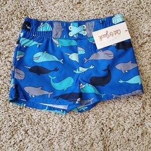 Baby boy swim trunks